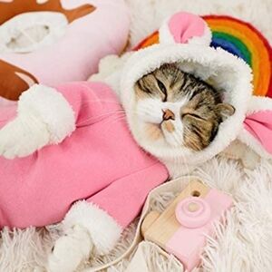 Baby Molly Pink Bunny Dog or Cat Costume Size XL